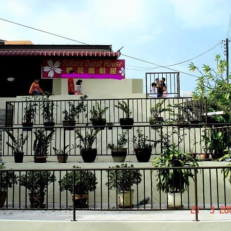 Sakura Guest House Cameron Highlands Bagian luar foto